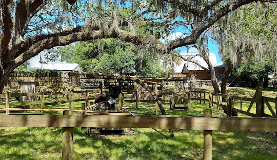 Brandon, FL