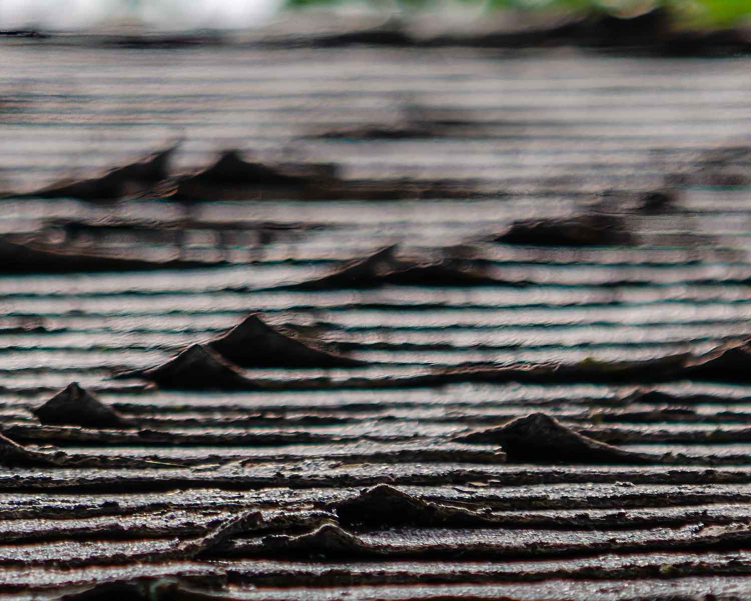 Curling or cracked shingles