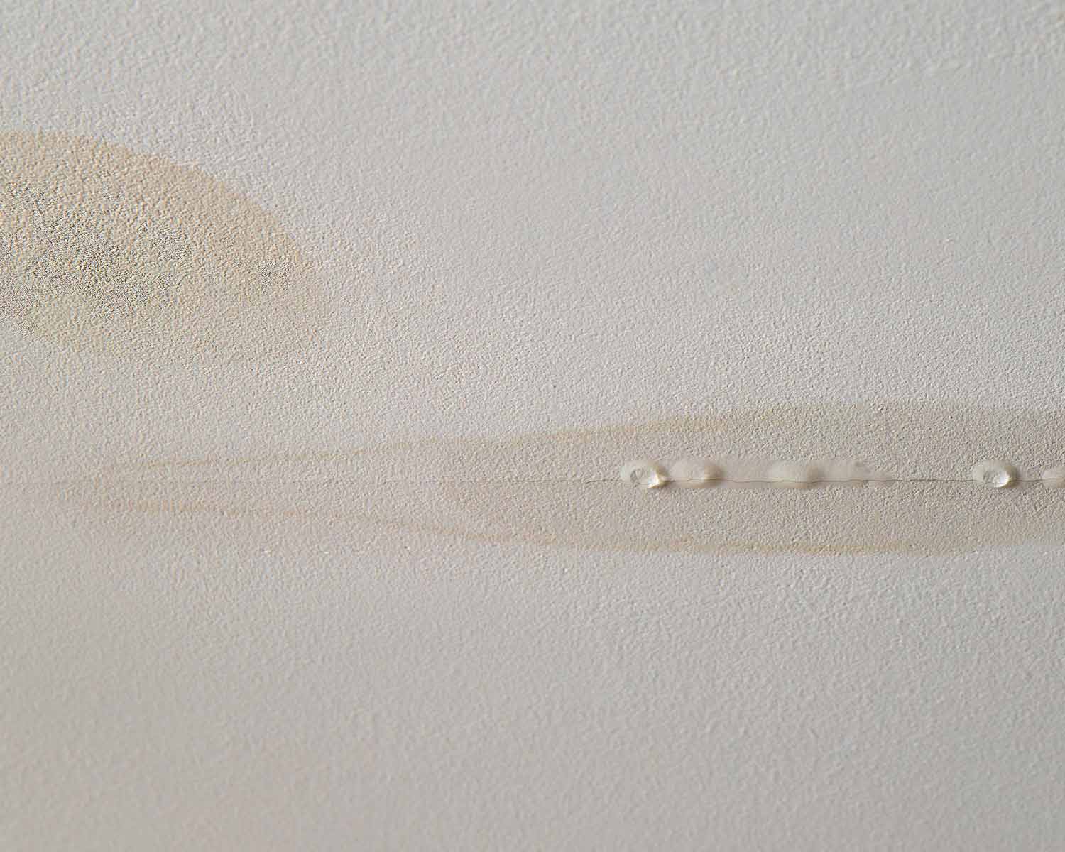 Roof leak from shingle roof damage