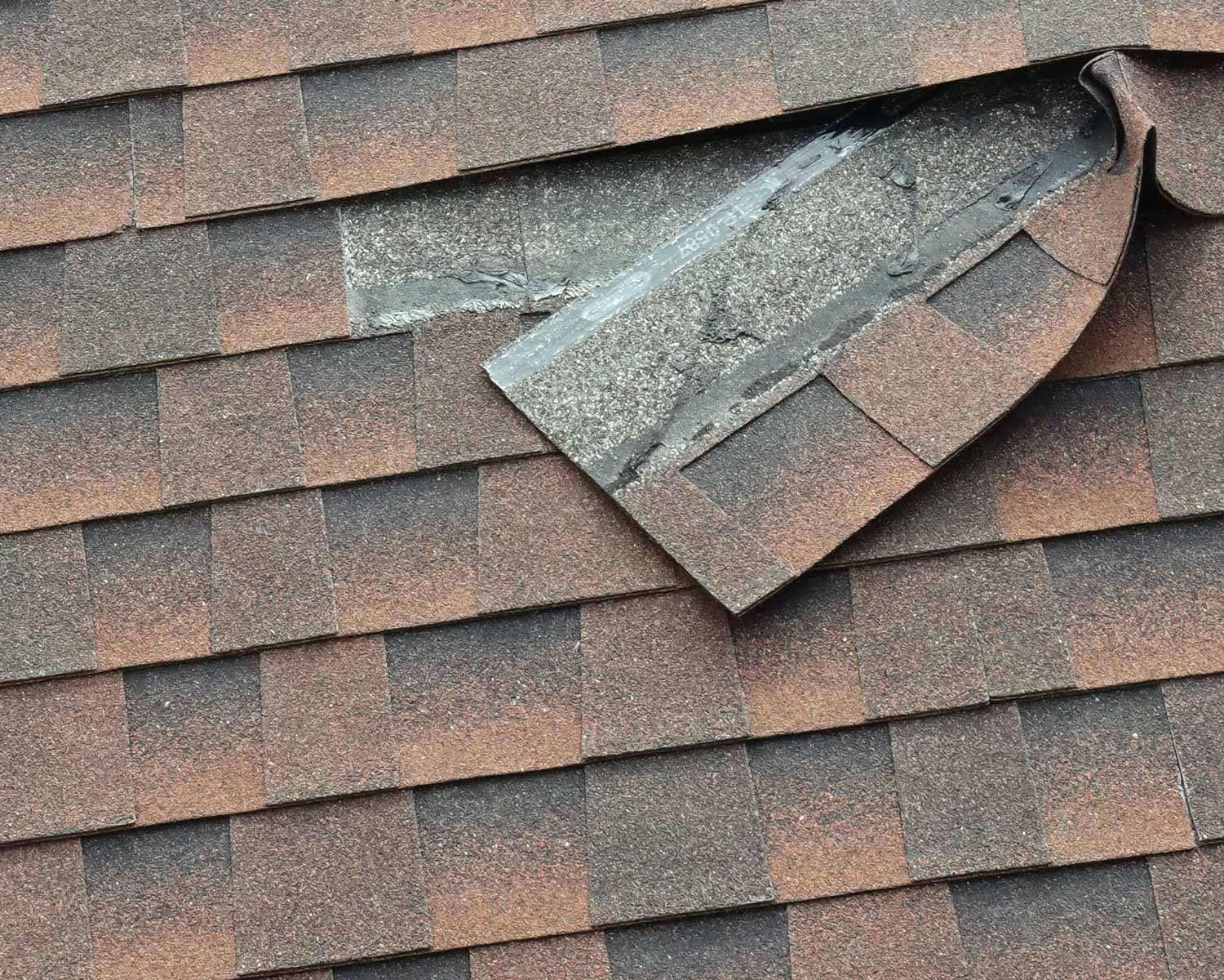 Shingle roof repair